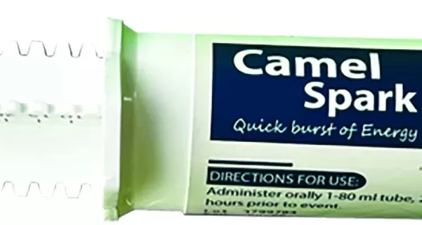 Camel Spark
