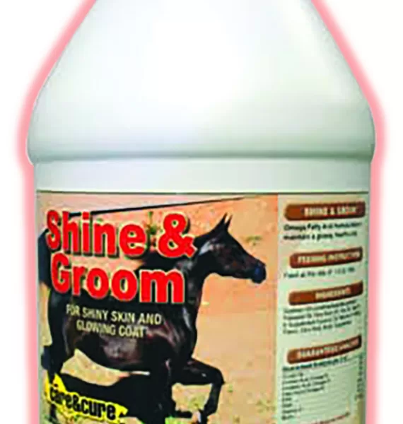 Shine & Groom