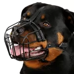 Wire Basket Dog Muzzle Adjustable Comfortable Anti-Scavenging Headwear Metal Muzzle Dog Mouth Cover For Small Medium Large